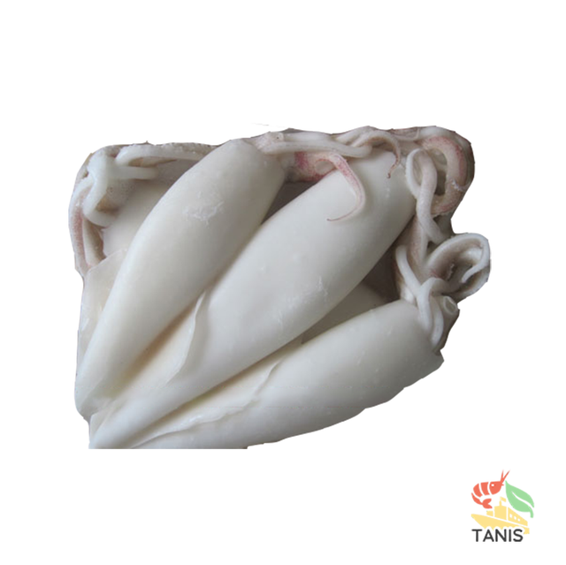 hot price frozen whole squid cleaned for export from vietnam - Image 2