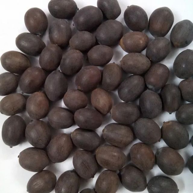 Vietnam lotus seeds cheapest prices Shelf Life 2 Address Vietnam Model Number 01 Content lotus seed Ingredients lotus - Image 3