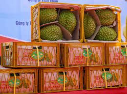 The Best Fresh Durian , Tropical Fruit, Vietnam Export products to Thailand, Malaysia, Turkey Durian Fruit Fruit Box Packaging - Image 2