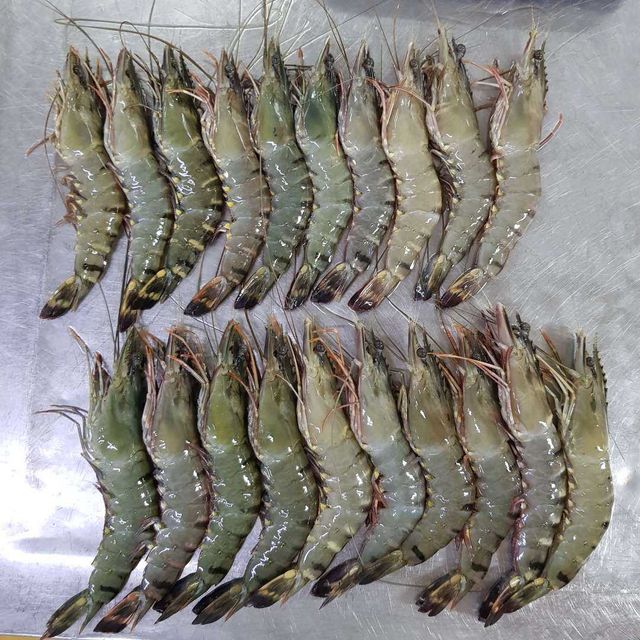 HOT SEASON 2023 Frozen Black Tiger HOSO/ Whole Tiger Prawn Best Price For Sale - Image 3