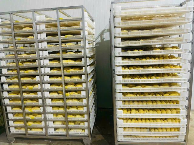 Wholesaler Fresh Durian Monthong Eat Directly Sweet ,Durians, Flesh Durian Organic Packed In Box Vietnam Manufacturer - Image 4