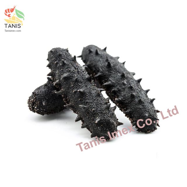 Natural sea cucumber high quality, dried sea cucumber rich nutrition wholesale price - Image 5