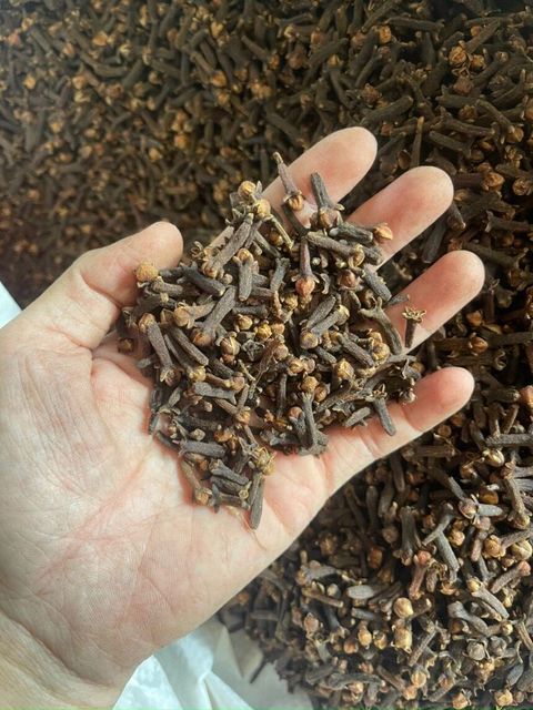Wholesale Price Good Quality Whole Clove Dried Cloves Herbs Spices Top Quality Spices Organic - Image 4