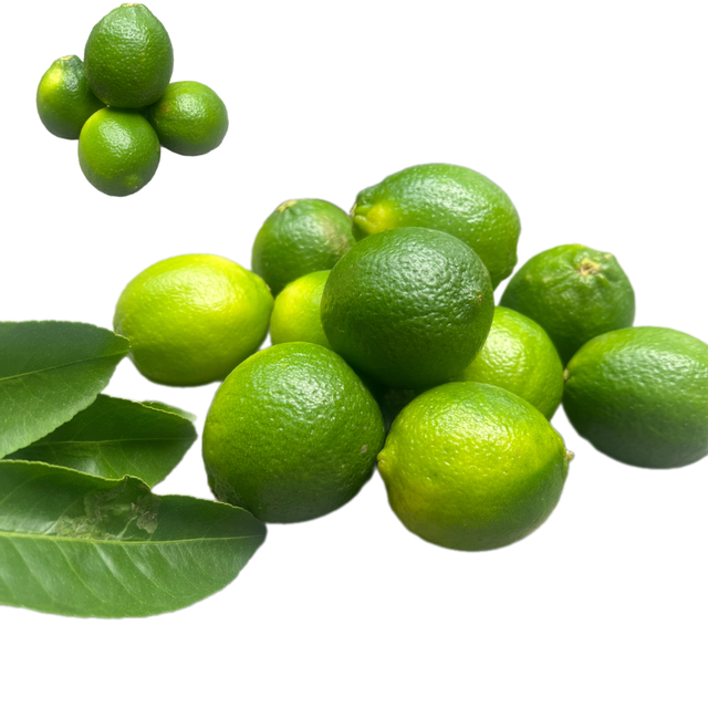 Fast Delivery Lime Without Seed Keep Cool, Lemon, Seedless Fruit, Limon, Delivery Turkey, China, UAE - Image 1