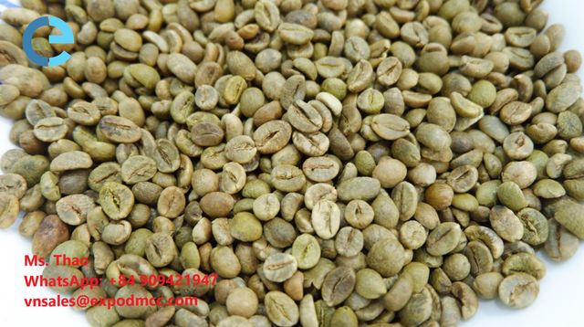 Vietnam Robusta Green Coffee Beans - High Quality Robusta Coffee good price by Vietnam exporters seasoning – product photo 2, product detail gallery