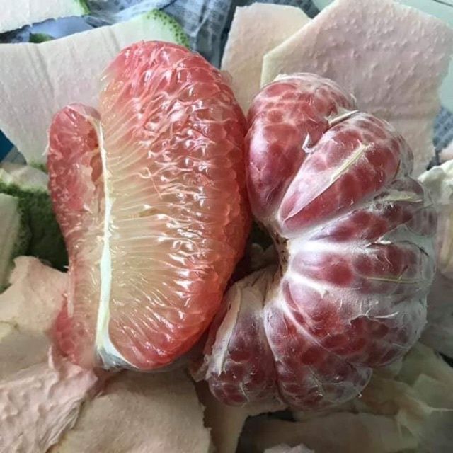 Green Grapefruit Natural Sweet Taste Fresh Pomelo Brix 10 - 13% Made In Ben Tre Vietnam Size 1.0kg to 1.8kg Export Standard - Image 4