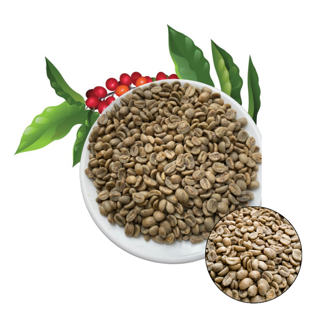 ARABICA CATIMOR GREEN BEANS FULLY-WASHED Premium Quality with Small MOQ from Highland Low Price Central of Vietnam – product photo 3, product detail gallery