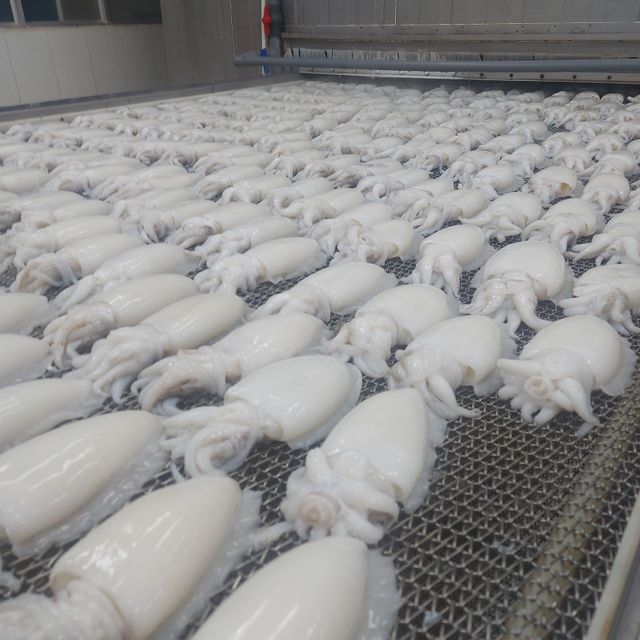 Wholesale High Quality Cheap Price Whole CUTTLEFISH FROZEN | frozen cuttlefish whole cleaned Good quality - Image 3