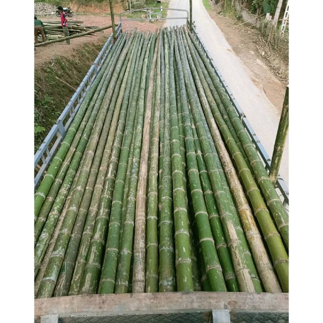 Factory Wholesale Cheap Price Natural Artificial Bamboo Poles for Indoor Outdoor Decoration - Image 5