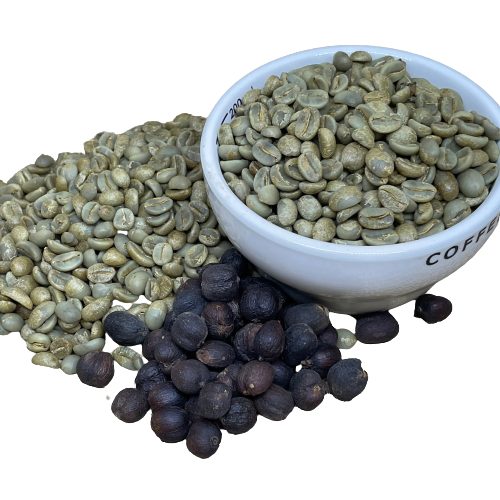 Arabica Green Coffee Beans Low MOQ Best Seller High Quality 60 kg PET Bag Semi Washed Process Vietnamese Coffee Beans - Image 1