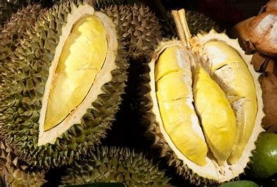Wholesaler Fresh Durian Monthong Fresh Durians Organic Packed In Box Vietnam Manufacturer, King Durian - Image 5