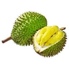 The Best Fresh Durian , Tropical Fruit, Vietnam Export products to China, Thailand, Malaysia, Turkey Organic Fruit - Image 3