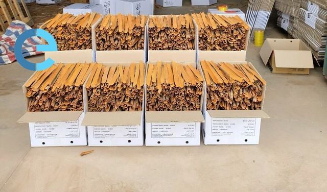 SPLIT CASSIA YEN BAI PREMIUM HOT PRODUCT NEW SEASON 2023 BEST BUY VIETNAM SINGLE SPICES FOR FOOD - Image 4