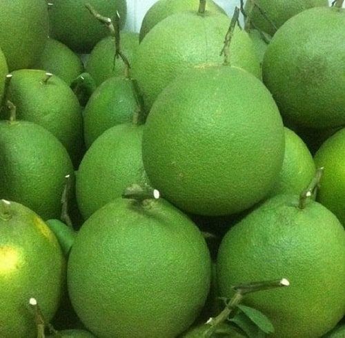 Fresh Fruit 1-1.8 kg/pcs Fresh Citrus Fruit Green skin pomelo grapefruit With pink flesh Brix 10 - 13% From Vietnam - Image 3