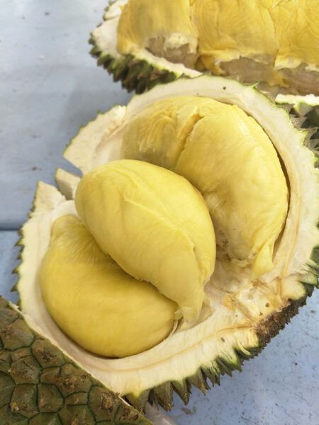 Wholesaler Fresh Durian Monthong Fresh Durian, Flesh Durians For Sale Organic Packed In Box Vietnam Manufacturer - Image 3