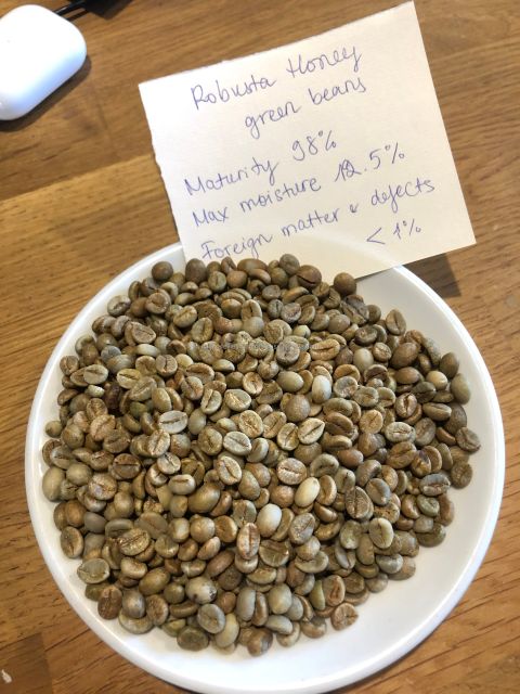 Green Robusta Green Coffee Beans Premium Quality Screen 16 Red Honey Processing Single Origin in Vietnam - Image 3