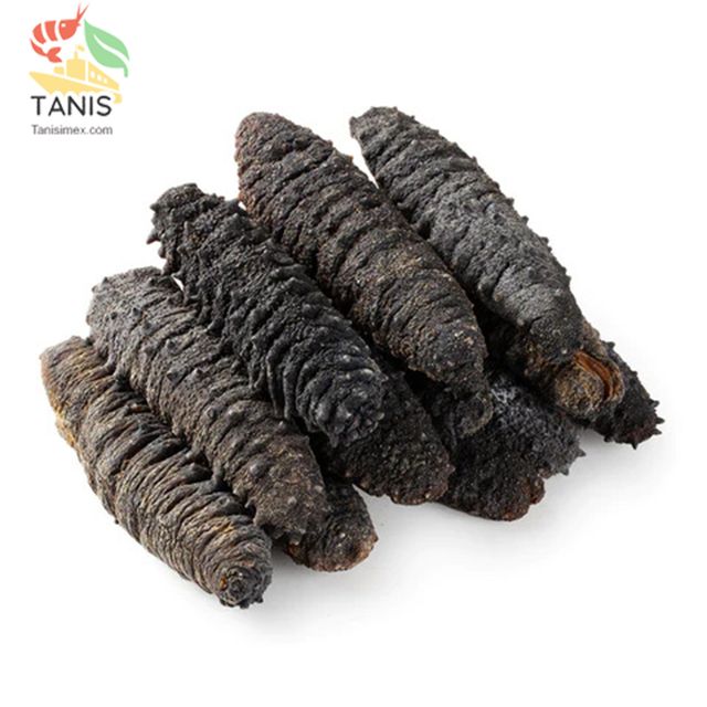 Best deal for dry sea cucumber, sea cucumber with premium quality - Image 3