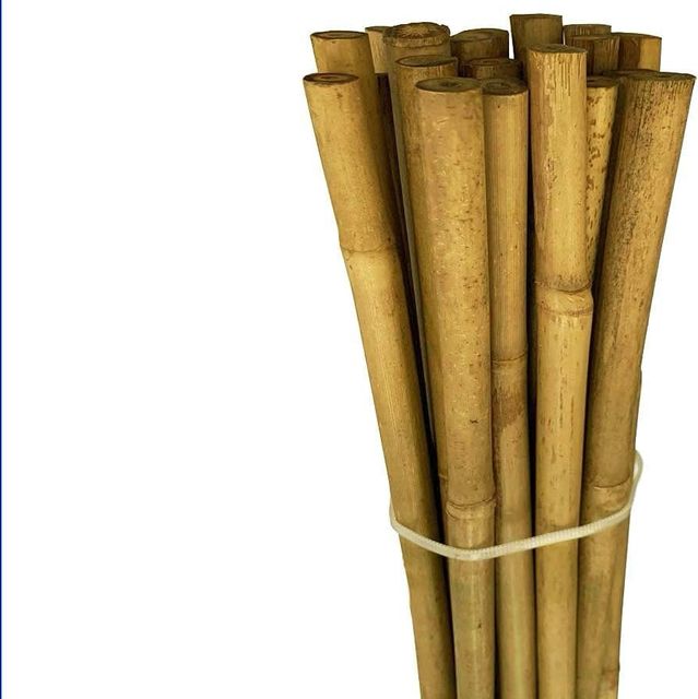 Straighten Bamboo poles sticks wholesale price Raw Bamboo Poles for Gardening and Decoration Bamboo Pole - Image 3