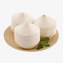 Cool Coconuts Water Coconut Green Coconut Packing Box Fresh Coconut From Vietnam - Image 4