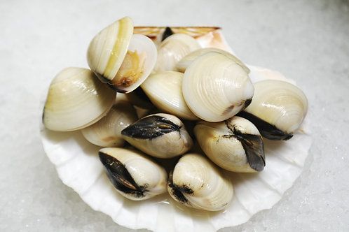 Top sales frozen clam from Vietnam for wholesales Variety N/A Address N/A Content N/A Style FROZEN Color Natural Packaging - Image 3