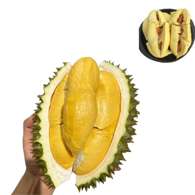The Best Fresh Durian , Fresh durian malaysia, Fresh Durian fruit for sale Organic fruits Packing Box in Vietnam - Image 1