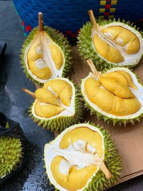 The Best Fresh Durian , Fresh durian malaysia, Fresh Durian fruit for sale Organic fruits Packing Box in Vietnam - Image 4