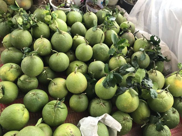 100% Best Quality Vietnam Fresh Fruit Pomelo Healthy From Vietnam Manufacturer - Image 6