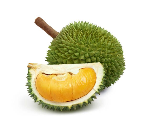 Wholesaler Fresh Durian Monthong Fresh Durians Organic King Durian Frozen Meat Durian Fruit King Of Fruit - Image 5