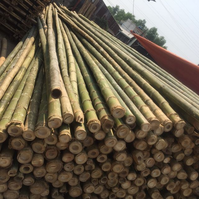 Wholesale Price Manufacturer Outdoor Decoration Big Natural Raw Bamboo Pole With High Quality - Image 6