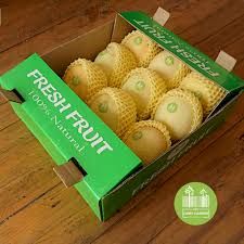 The Best Fresh Mango Fruit Tropical Fruit Sweet Taste Fresh Mangos Yellow Mango Green Mango Organic Fruit From VietNam - Image 3