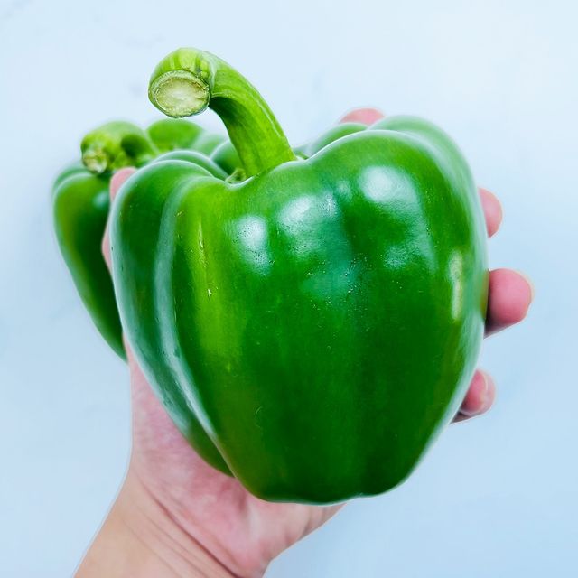 Quality Grade 100% Fresh & Natural Color Capsicum / Bell Pepper Fresh Exotic Vegetables Manufacturer From Vietnam - Image 3