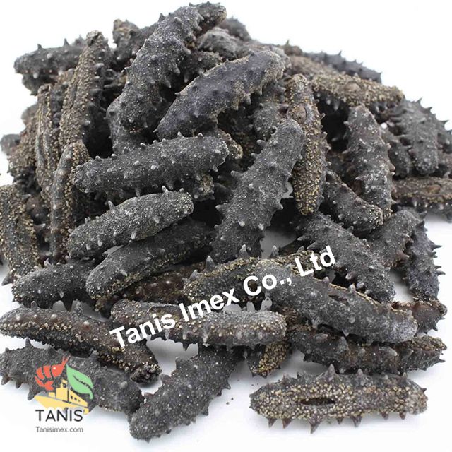 Best price for dried sea cucumber, dry sea cucumber high quality - Image 4