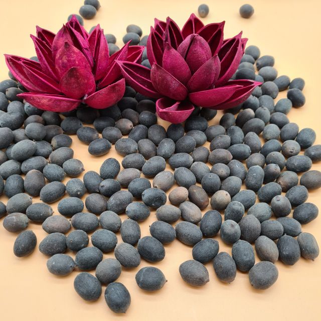Vietnam lotus seeds wholesale Shelf Life 2 Address Vietnam Model Number 01 Content lotus seed Ingredients lotus seed Storage Type dried - Image 3