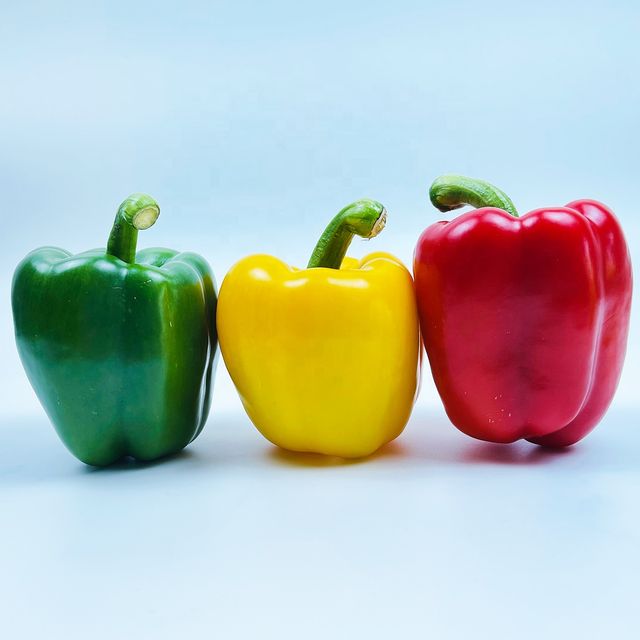 Quality Grade 100% Fresh & Natural Color Capsicum / Bell Pepper Fresh Exotic Vegetables Manufacturer From Vietnam - Image 5