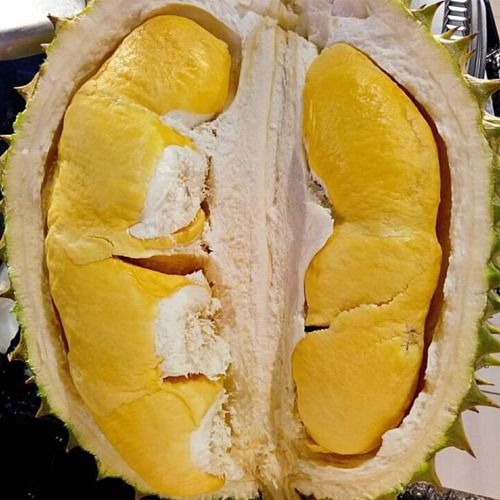 Best Selling Frozen Fresh Ri6/Monthong Durian in Vietnam 2023/ Competitive Price Frozen Fresh Durian – product photo 2, product detail gallery
