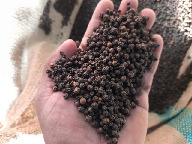 Best Quality k Pepper Factory Price Best Herbs and Spice Ingredient Pepper 580mc - Image 5
