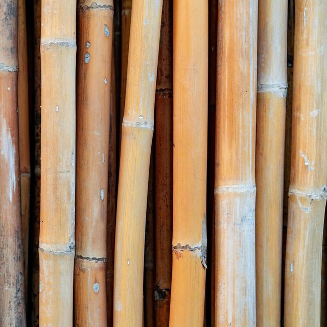 Vietnamese bamboo poles wholesale price - Raw Bamboo Poles for Gardening and Decoration - Bamboo Pole 100% Natural - Image 4