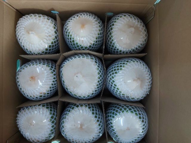 Fresh Young Coconuts Special Product With High Quality And Best Price In Vietnam - Image 3