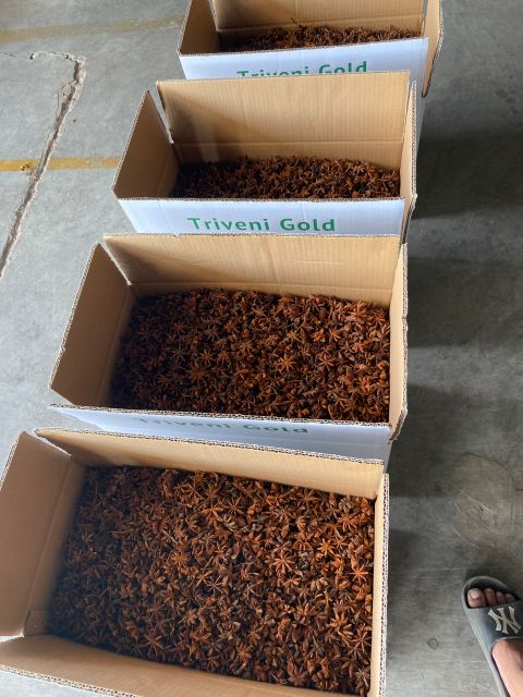 Spring Anise Factory Price Wholesale Broken Star Anise Best Quality Star Anise For Cooking Made In Vietnam - Image 3