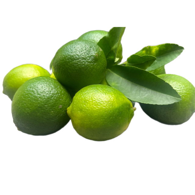 Special Fresh Lemon Lime Without Seed Seedless Lime Green Organic Packed In Box in Vietnam To Dubai UAE Thailand - Image 3