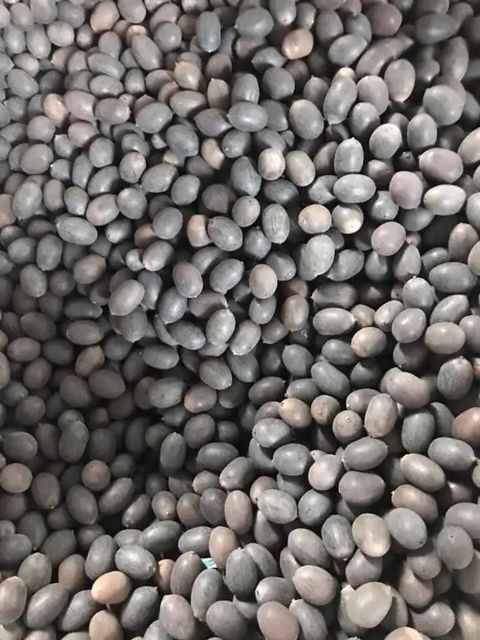 Vietnam dried lotus seeds cleaned grade cheapest prices Shelf Life 2 Model Number 01 Address Vietnam Content lotus seed Ingredients lotus - Image 2