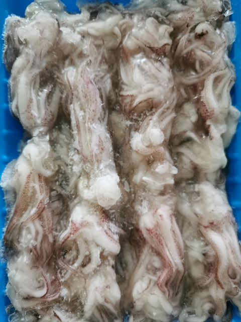 HOT selling frozen squid tentacles cleaned from Vietnam Content N/A Address N/A Style FROZEN Variety Squid Packaging - Image 3