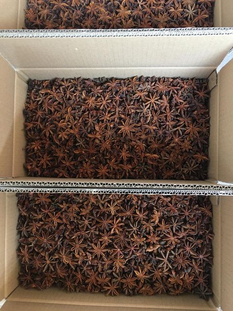 Factory Wholesale Low Price Star Anise Best Quality Star Aniseed Dried Star Anise Spices for Tea Cooking Decoration - Image 3
