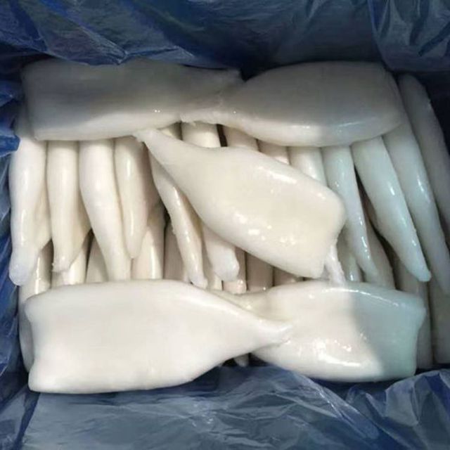 hot price frozen whole squid cleaned for export from vietnam - Image 5