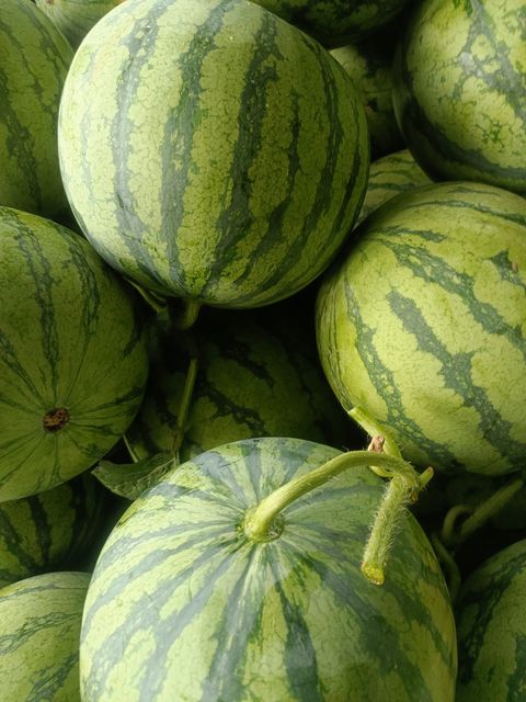 High quality Water Melon Natural Fruit Fresh Watermelon Vietnam Manufacturing - Image 5