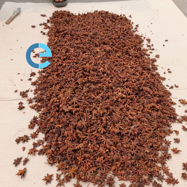 STAR ANISE SPRING VIETNAM ANISEED FACTORY PRICE HIGHLY RECOMMEND FOOD SEASONINGS PEPPER DESICCATED COCONUT - Image 6