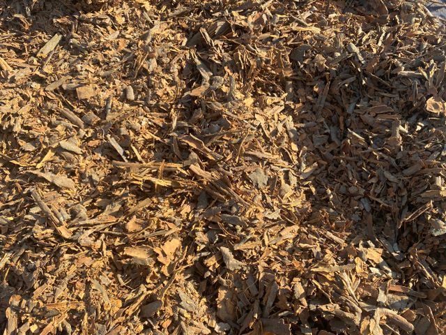 Vietnam Stick Cinnamon From Yen Bai Province High Quality Single Spices Pressed Whole Cassia Wholesale - Image 5