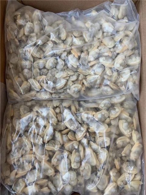 Vietnam Supplier Sale Frozen Clams Without Shell Frozen Natural Clam Meat for export Wholesales - Image 4