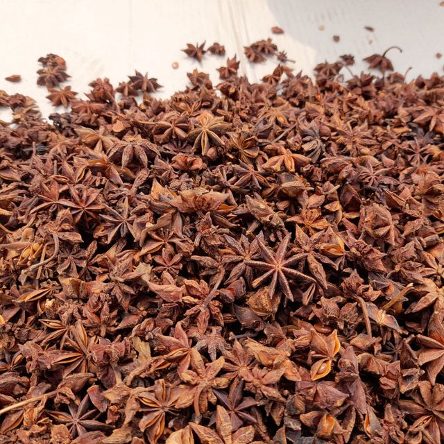 NEW CROP VIETNAM WHOLE SPRING STAR ANISE BEST QUALITY WHOLESALE FACTORY PRICE FOOD SPICES - Image 2