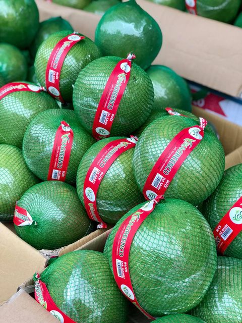BEST PRICE FOR PREMIUM FRESH GREEN SKIN POMELO GRAPEFRUIT EXPORT FROM VIETNAM STANDARD ISO GLOBAL - Image 4